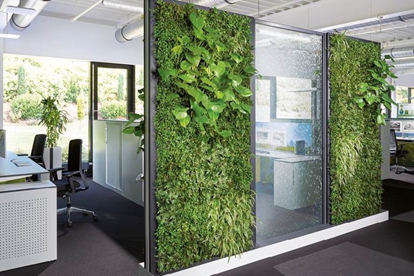 墻體綠化景觀設計，上海辦公室立體植物墻怎么做？